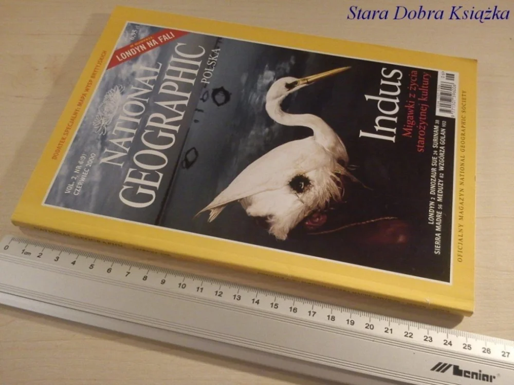 NATIONAL GEOGRAPHIC POLSKA. VOL 2 NR 6 2000 Szybka wysyłka