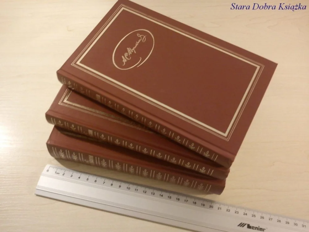 Popularny LITERATURA ROSYJSKA 3 TOMY