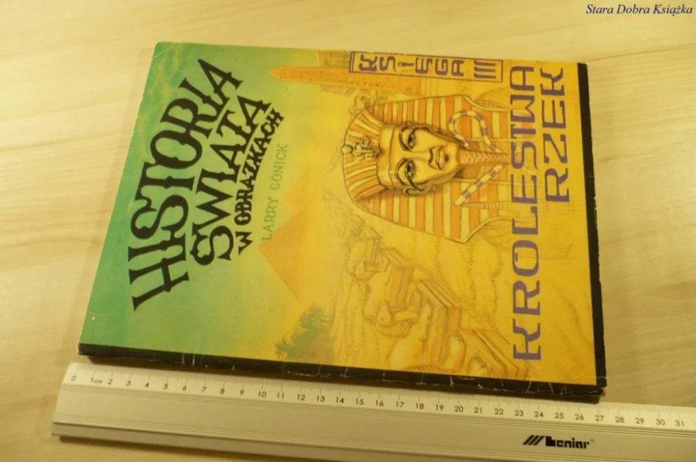 Najlepsza cena HISTORIA ŚWIATA W OBRAZKACH. KSIĘGA 3 - L. Gonick