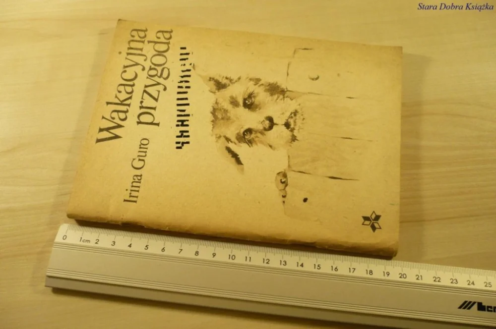 WAKACYJNA PRZYGODA - Irina Guro (1982) Bestseller
