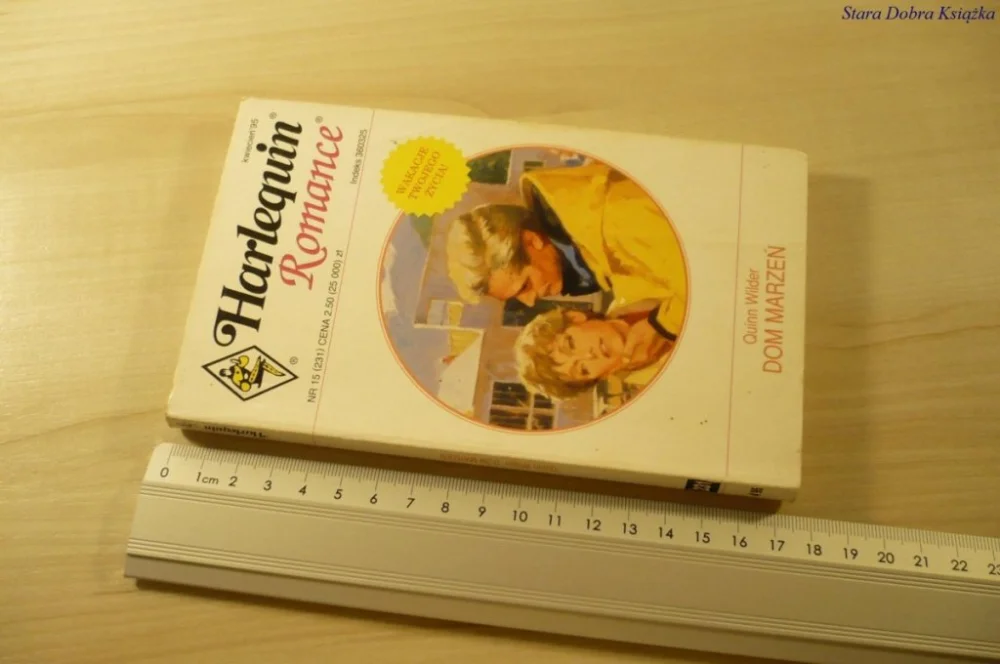 Szybka wysyłka DOM MARZEŃ - Quinn Wilder (1995)