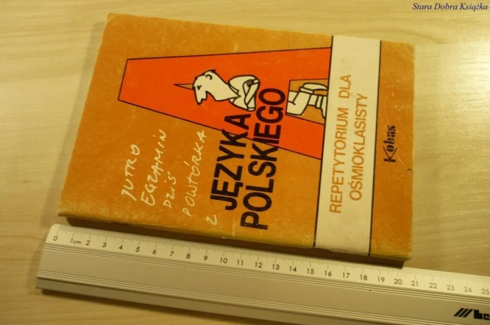Super okazja JUTRO EGZAMIN, DZIŚ POWTÓRKA Z JĘZYKA POLSKIEGO