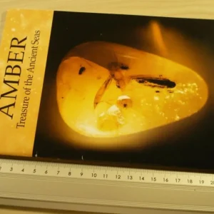 AMBER. TREASURE OF THE ANCIENT SEAS (1998) Wysoka jakość
