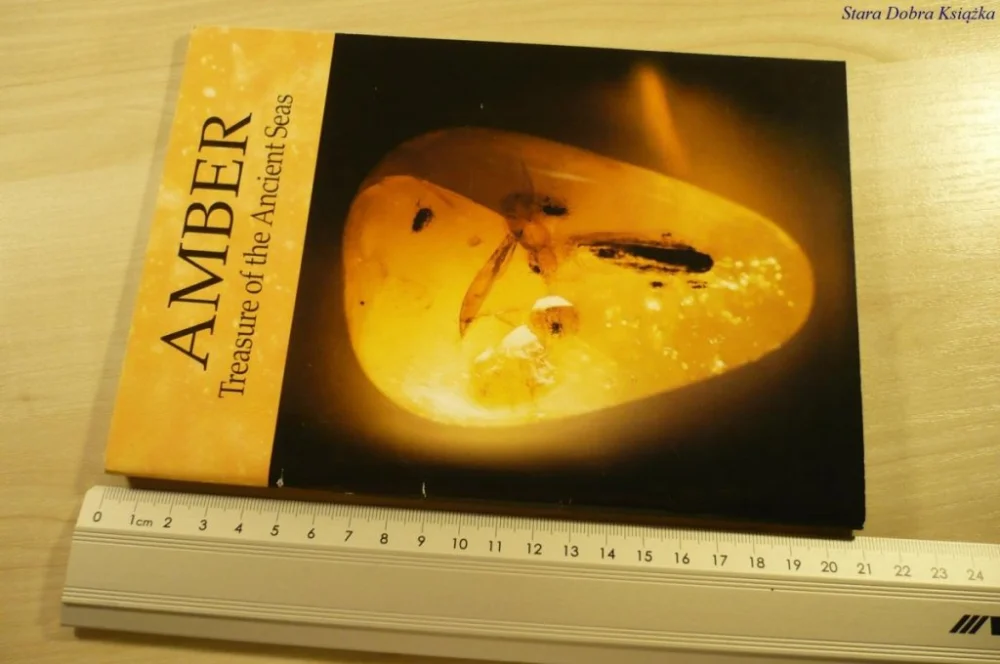 AMBER. TREASURE OF THE ANCIENT SEAS (1998) Wysoka jakość