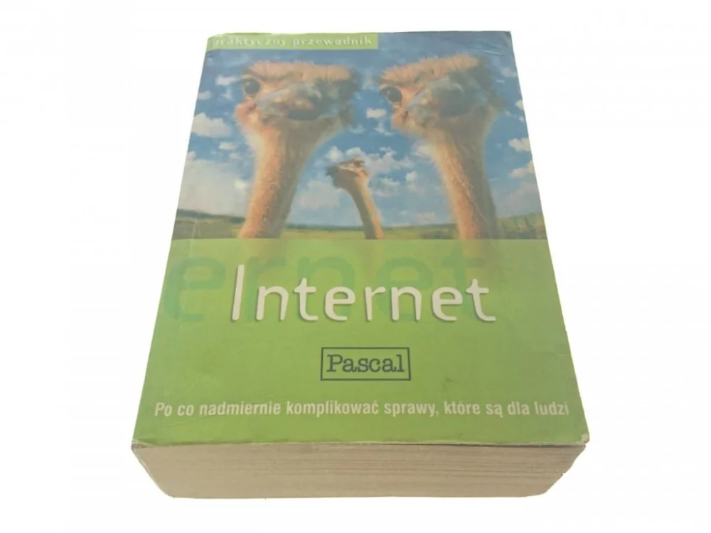 Ekspresowa dostawa INTERNET. PRAKTYCZNY PRZEWODNIK (2000)