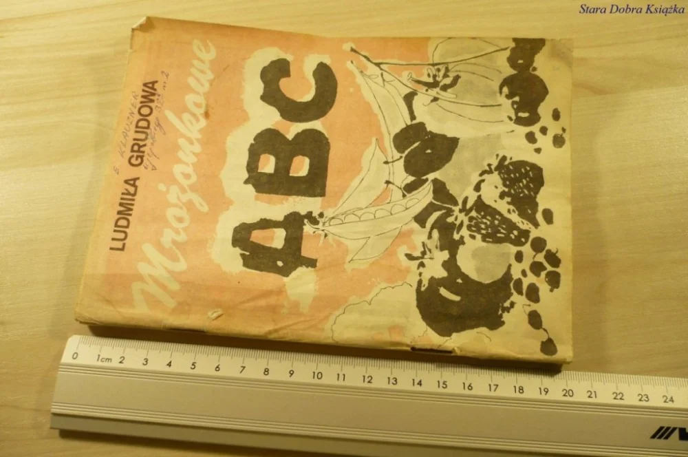 Oferta limitowana MROŻONKOWE ABC - Ludmiła Grudowa