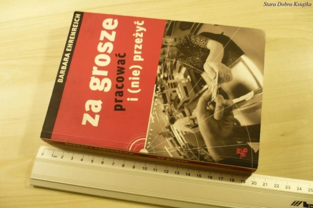 ZA GROSZE PRACOWAĆ I (NIE) PRZEŻYĆ Ehrenreich 2006 Kup online
