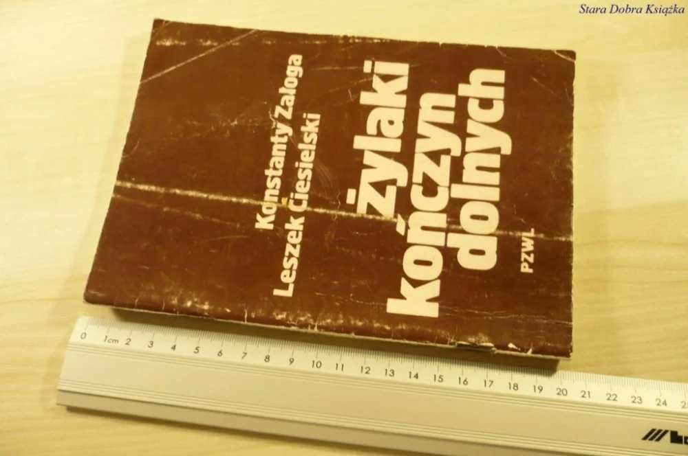 ŻYLAKI KOŃCZYN DOLNYCH - Konstanty Załoga (1985) Ostatnie sztuki