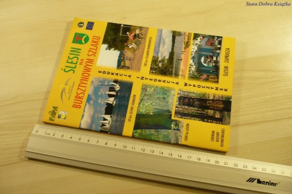 ŚLESIN NA BURSZTYNOWYM SZLAKU (2008) Wybór klientów