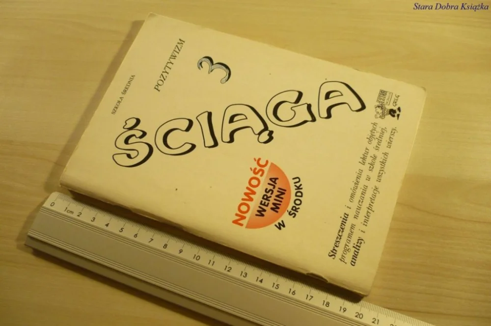 Ostatnia szansa ŚCIĄGA 3 POZYTYWIZM - Pietrzyk (1999)