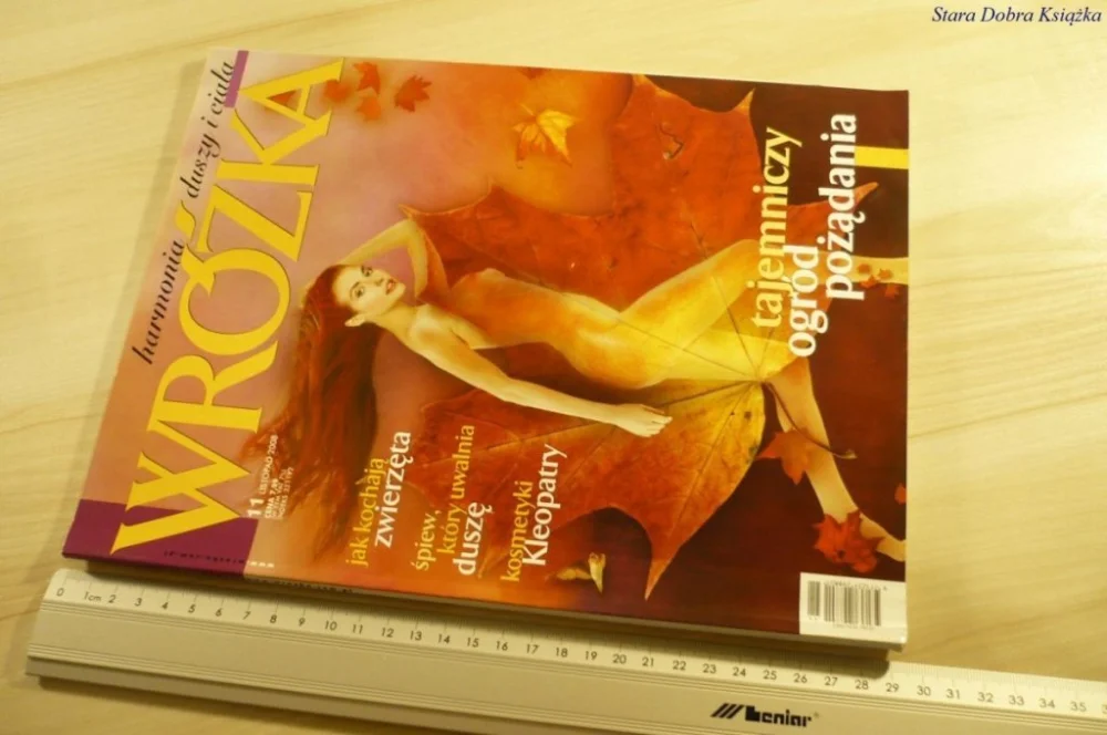 WRÓŻKA 11 LISTOPAD 2008 Zamów teraz