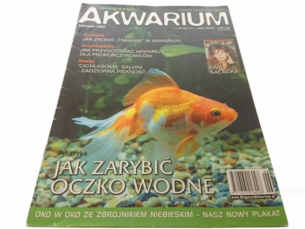 Wysoka jakość MAGAZYN AKWARIUM NR 06/2002 (7) BEZ PLAKATU
