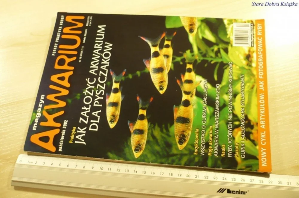 MAGAZYN AKWARIUM NR 10/2002 (11) BEZ PLAKATU Sprawdź teraz