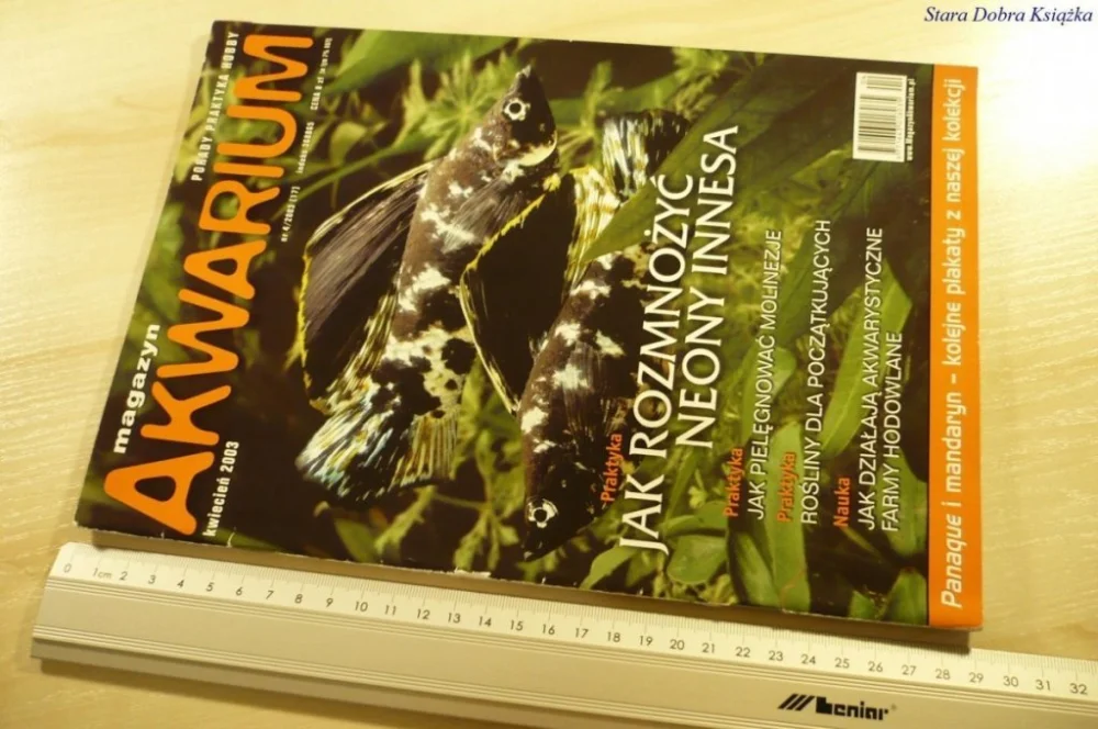 MAGAZYN AKWARIUM NR 4/2003 (17) BEZ PLAKATU Hit cenowy