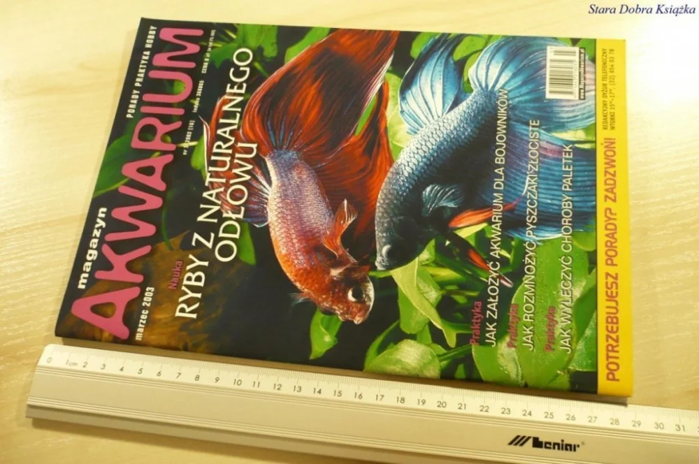 Kup teraz MAGAZYN AKWARIUM NR 3/2003 (16)