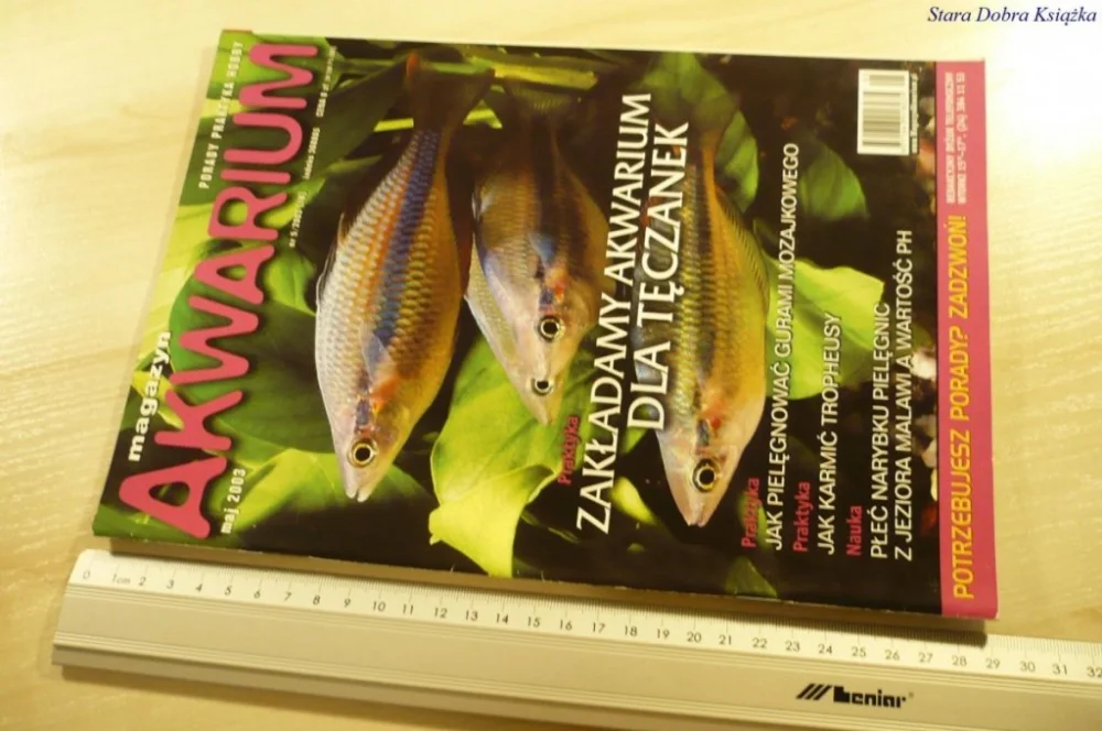 Tylko dziś MAGAZYN AKWARIUM NR 5/2003 (18) + PLAKAT