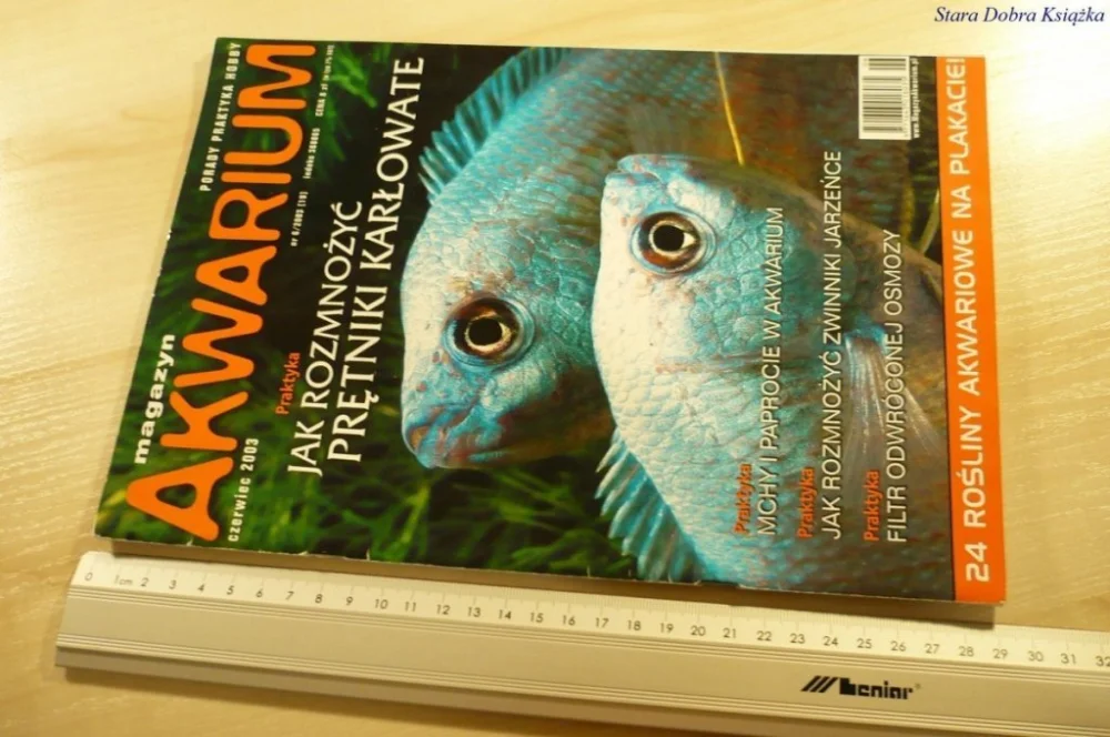 MAGAZYN AKWARIUM NR 6/2003 (19) BEZ PLAKATU Łatwy zwrot