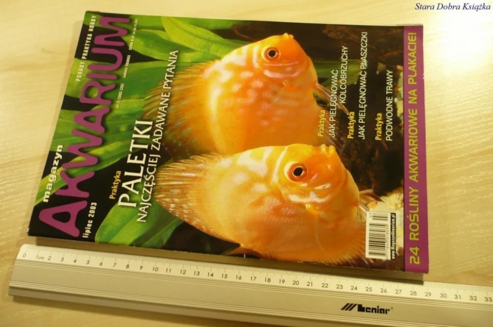 MAGAZYN AKWARIUM NR 7/2003 (20) BEZ PLAKATU Wyjątkowa oferta