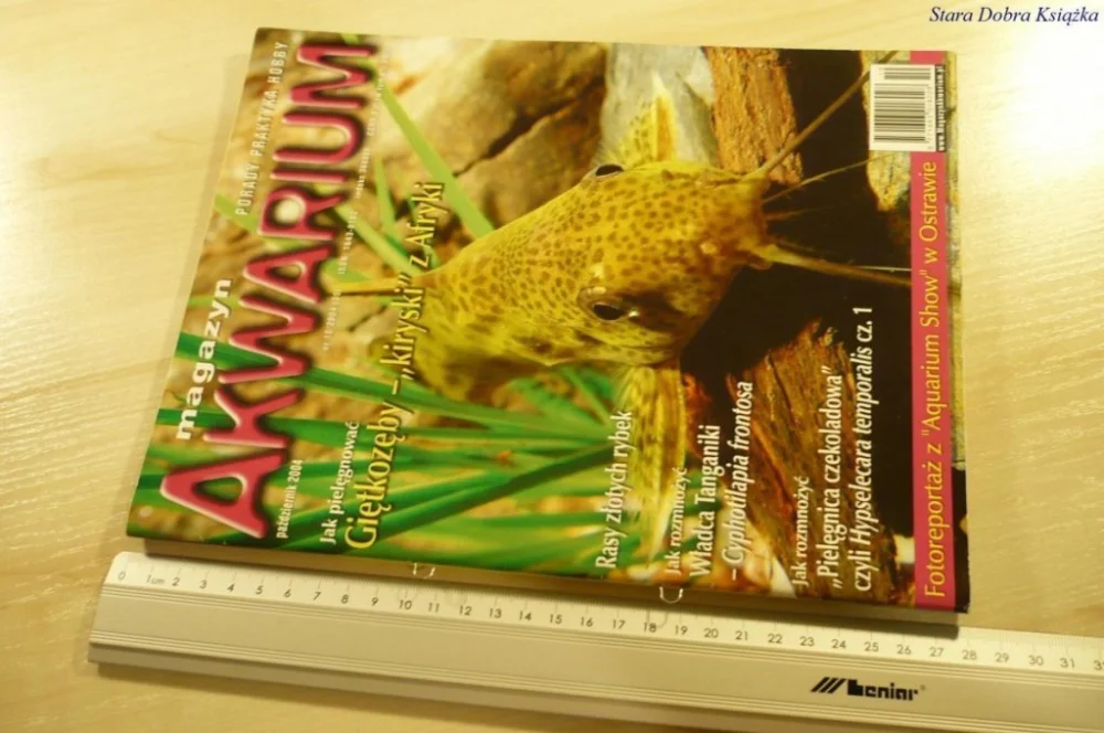 MAGAZYN AKWARIUM NR 10/2004 (35) Ekspresowa dostawa