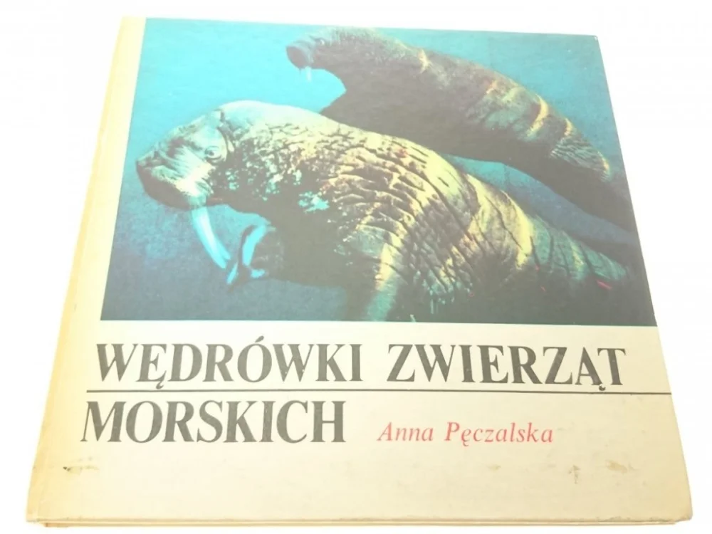 WĘDRÓWKI ZWIERZĄT MORSKICH - Anna Pęczalska 1981 Zniżka