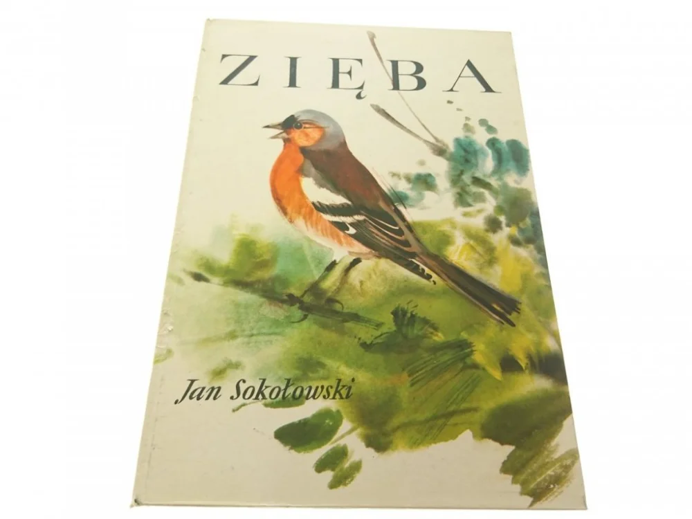 ZIĘBA - Jan Sokołowski 1969 Taniej