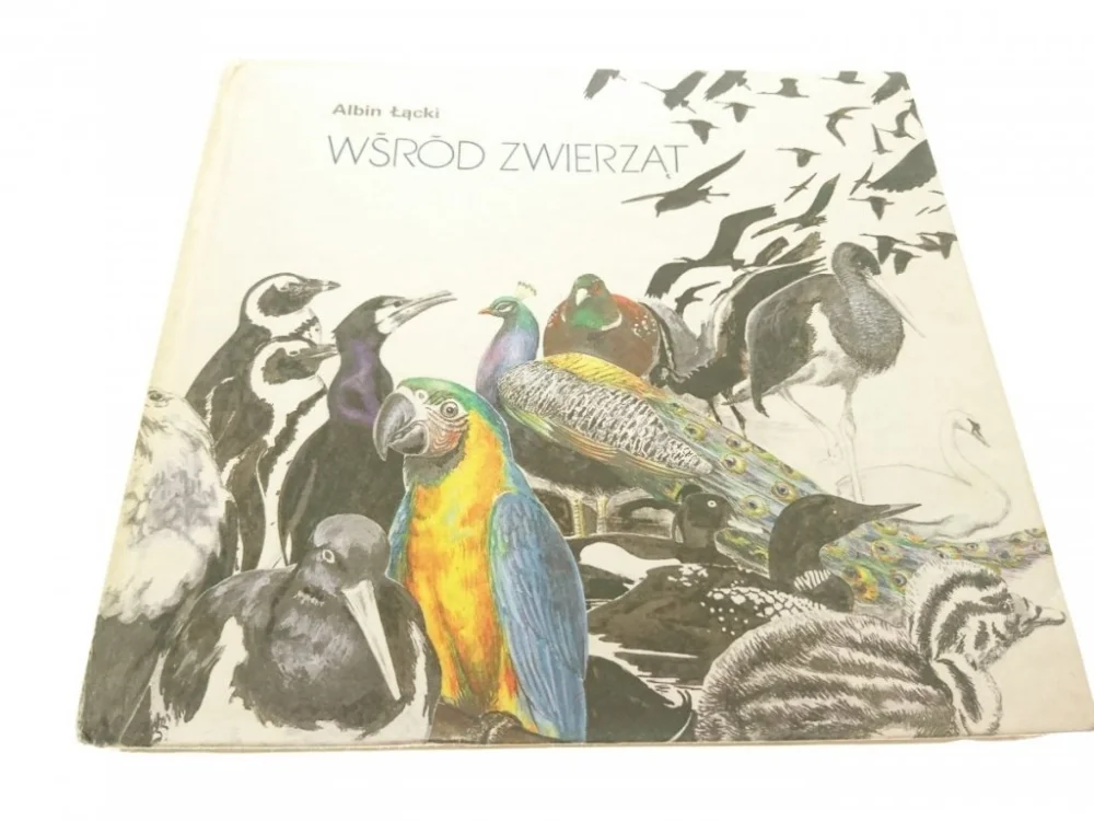 WŚRÓD ZWIERZĄT. PTAKI - Albin Łącki 1988 Bestseller