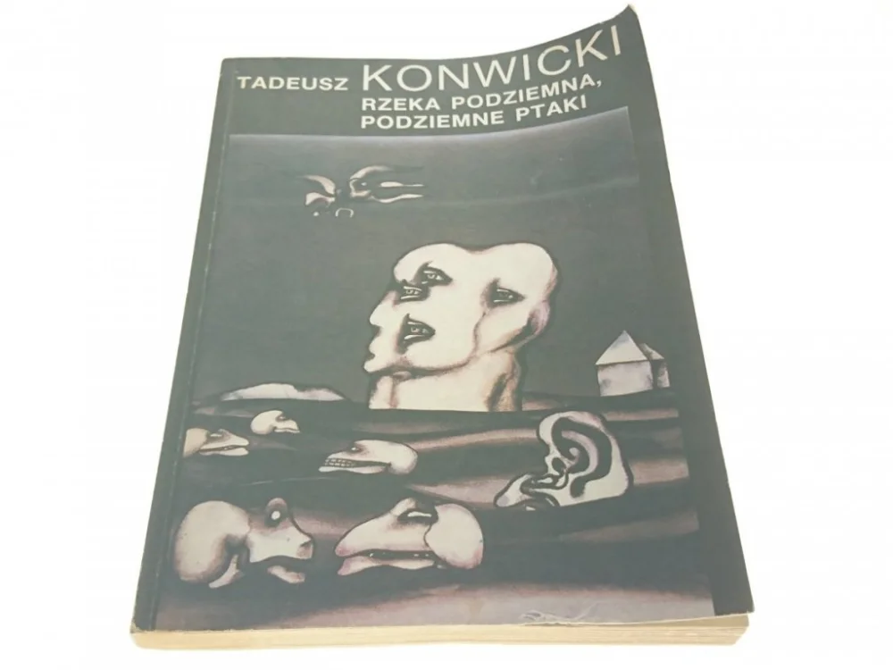Do wyczerpania zapasów RZEKA PODZIEMNA, PODZIEMNE PTAKI - Konwicki 1989