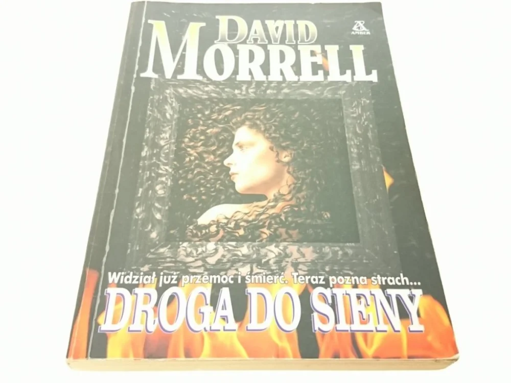 Ostatnia szansa DROGA DO SIENY - David Morrell 1999