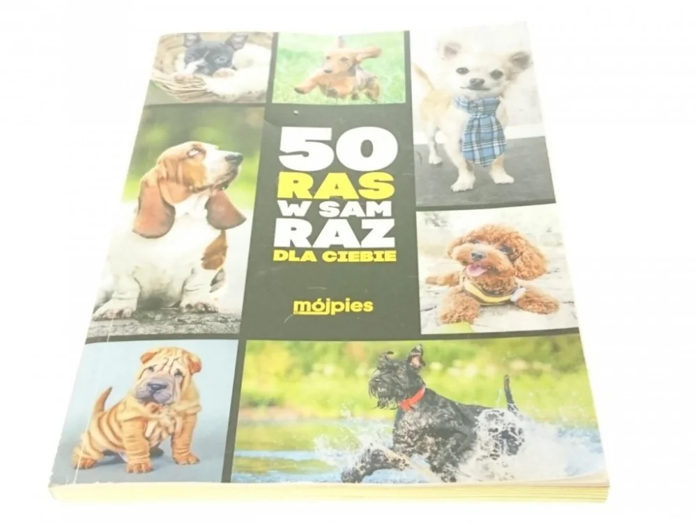 50 RAS W SAM RAZ DLA CIEBIE - Paulina Król 2017 Kup teraz
