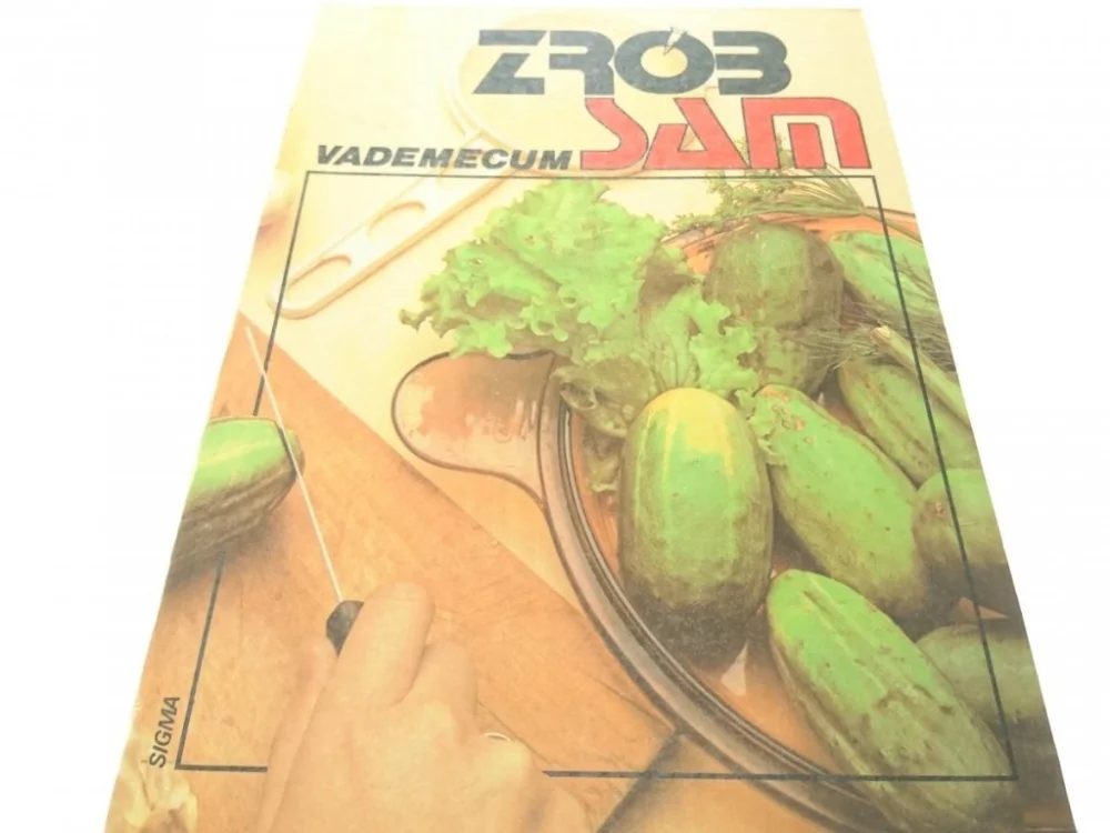 Kup online ZRÓB SAM. VADEMECUM TOM Y 1986