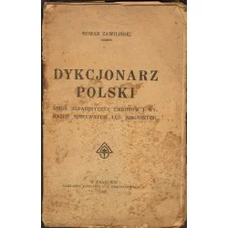 Ostatnie sztuki DYKCJONARZ POLSKI. ZBIÓR ALFABETYCZNY ZWROTÓW I WYRAŻEŃ NIEPEWNYCH LUB NIEJASNYCH