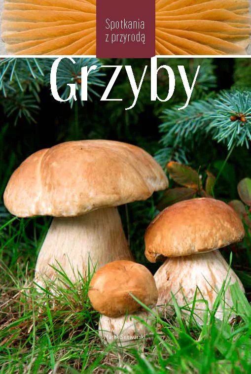 Ostatnie sztuki Grzyby. Spotkania z przyrodą