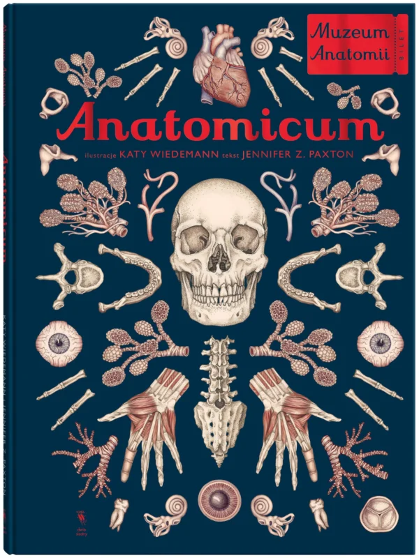 Anatomicum. Muzeum Anatomii Hit sprzedaży