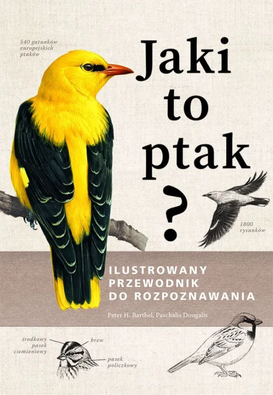 Tylko dziś Jaki to ptak? Ilustrowany przewodnik do rozpoznawania