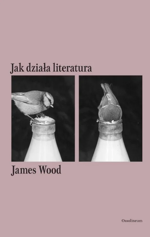 Jak działa literatura James Wood Nowy