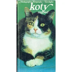 Koty rasowe Nowy