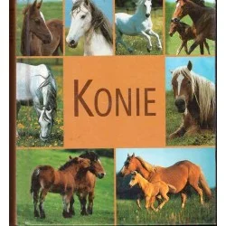 Super okazja Konie