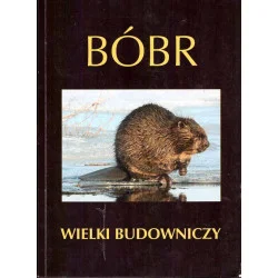 Bóbr wielki budowniczy Popularny